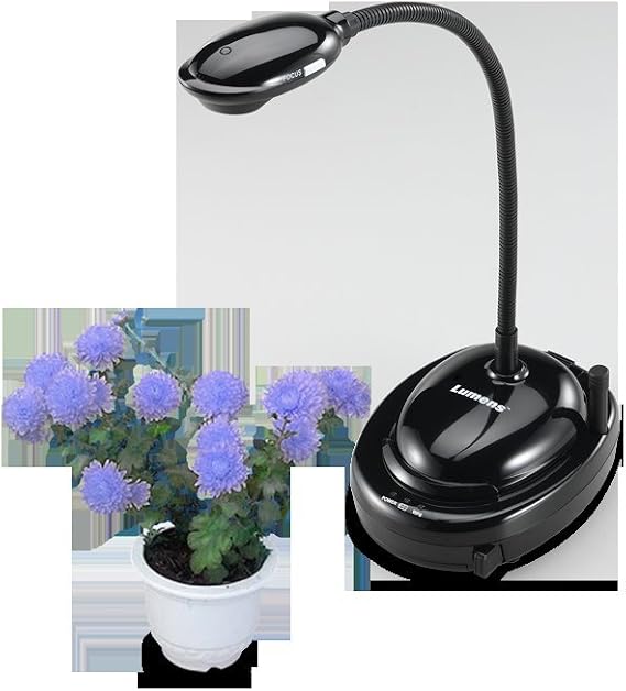 Lumens PC120 Podium Document Camera Projector