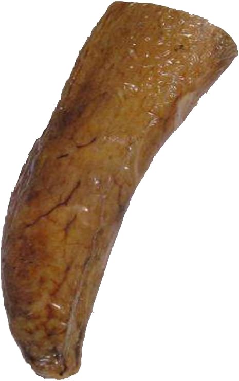QT Dog Buffalo Horn Core Chew (1 Case), Large