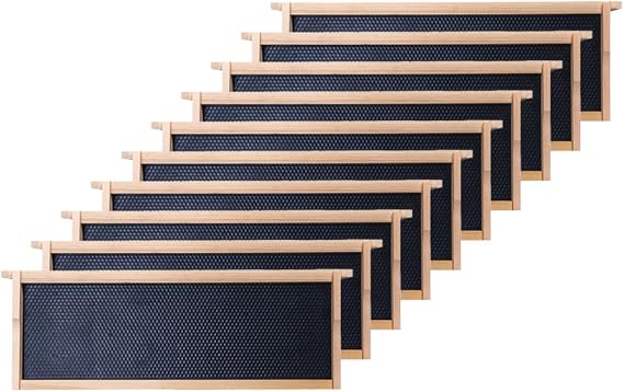 Honey Lake Medium Beehive Frames and Foudations Kit,10 Pack Super Bee Frames with Beeswax Coated Plastic Foundations for Beekeeping (Black)
