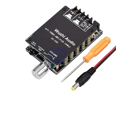 200W Blutouth 5.0 Amplifier Board TPA3116 100W100W Audio Amplifier Module with LC Filter Technique 2 Channel DC 8-24V New for Arrival 2025 High for Quality