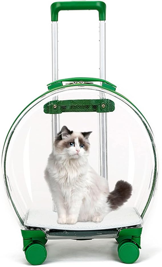Transparent Cat Pet Trolley Case with Mat,Freely Breathe Travel Dog Carrier with Wheel Telescopic Handle,Portable Outdoor Cat Travel Bag for Small Medium Pet(42x25x50cm(17x10x20), Green)