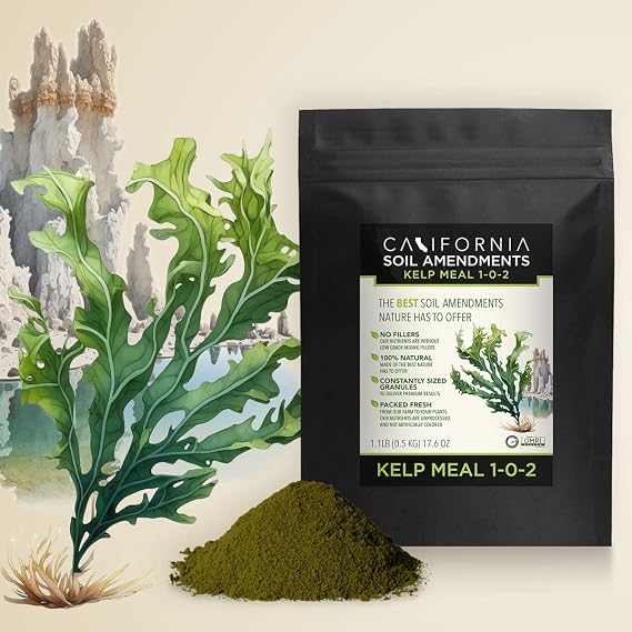 The Bud Grower | California Hot Soil Premium Kelp Meal | 6 lbs of Fine Powder 100% Organic Kelp Meal | All-in-One Grow Tent Kit's & Supplies
