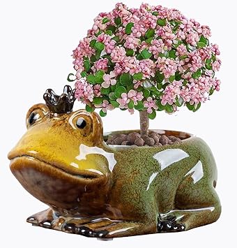 Animal Shaped Planter Flower Pot Frog Shape Small Succulent pots with Drainage Ceramic Animal Planter, Indoor Plant Container Planter with Drainage Hole Home Office Desk Garden (Frog)