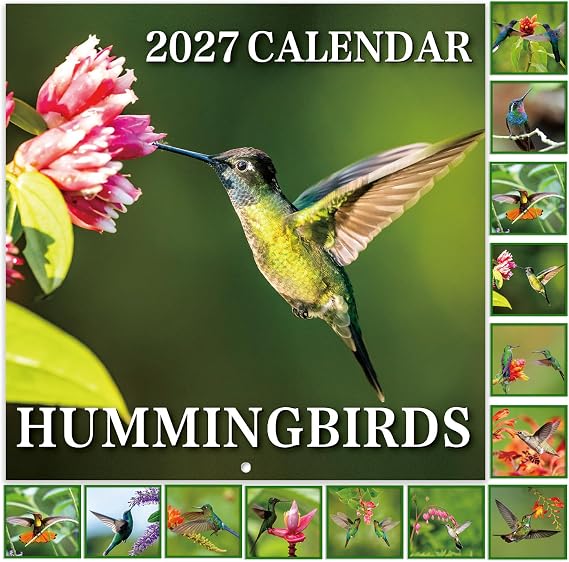 2027 Wall Calendar - Calendar 2027, Hummingbirds Calendar, 12" x 24" | JAN. 2027 - Dec. 2027, 12" x 24" Wall Calendar (open), 12 Months Calendars with Unruled Blocks, Thick Paper - Hummingbirds