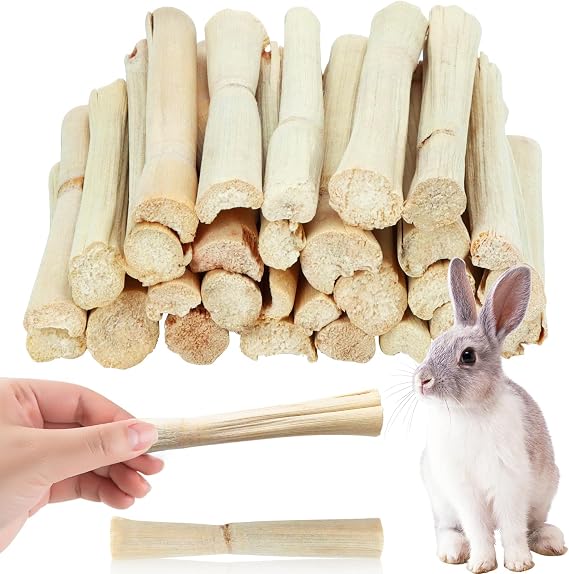 1lb Natural Sweet Bamboo Chew Sticks, Molar Teething Treats Toys for Rabbits, Bunnies, Guinea Pigs, Hamsters, Chinchillas, Rats & Other Small Animals