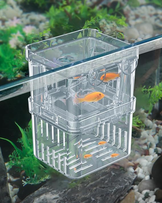 Pawfly Small Aquarium Fish Breeding Box for Fry Hatchery, Shrimp & Aggressive Fish Isolation