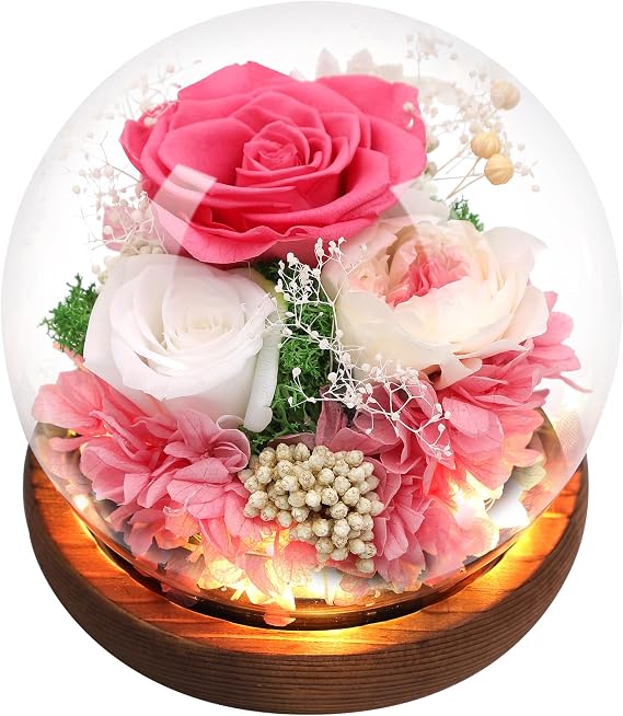 Preserved Flowers,Rose in Glass Dome with LED Light, Mother's Day Present,Gifts for Girls, Women, Mom,Grandma,Girlfriend, Wife- Style4