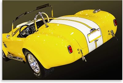 Gango Home Decor Classic Cobra II, Fine Art Photograph by: Alan Hausenflock; One 36x24in Fine Art Paper Giclee Print