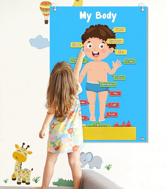 AKAYOK 36 Pcs Body Parts for Kids Felt Board for Toddlers Preschool Learning Activities Interactive Human Body for Kids Human Organ Educational Toys for 2 Year Old Felt Wall Activities for Toddlers