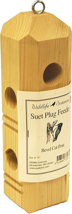 Wildlife Sciences Suet Plus Plug Pine Feeder, Bevel Cut Post