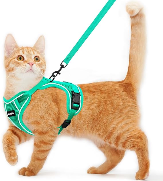 Cat Harness and Leash for Walking Escape Proof Soft Adjustable Cat Leash