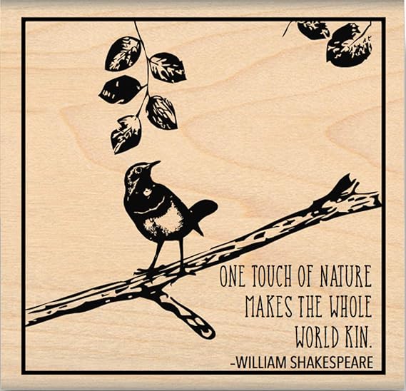 MSE Touch of Nature My Sentiments Exactly Mounted Stamp, 2"X2", Multi-Colour