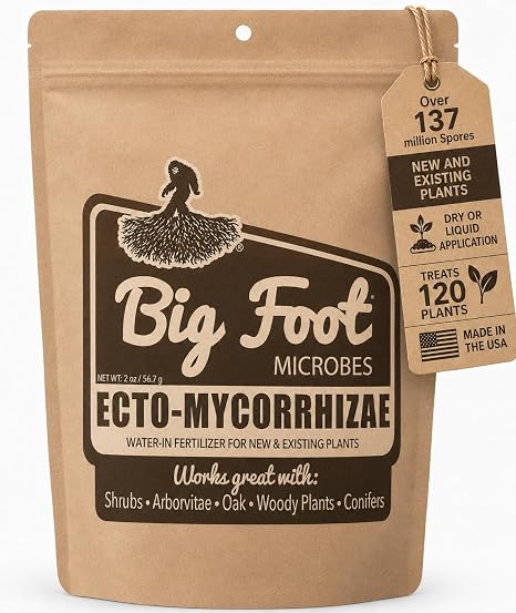 Big Foot Ecto Mycorrhizae Water Soluble Powder for Woody Plants - Shrubs, Arborvitae, Oak, Conifers, Christmas Trees - 2 Ounces