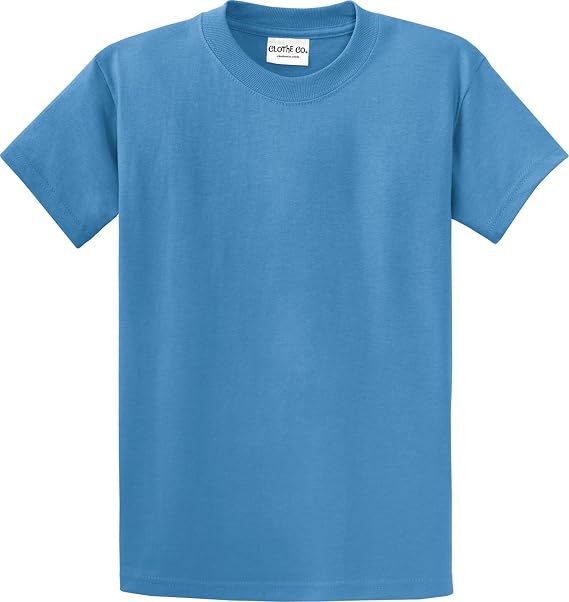 Clothe Co. Mens Heavyweight Cotton T-Shirt Plain Tee (Available in Big & Tall)