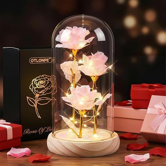 Otlonpe Mothers Day Flowers Gifts for Mom from Daughter Son, Preserved Forever Glass Light Up Rose Gifts for Grandma Wife Girlfriend Sister, Women Gift for Valentines Mothers Day Christmas Birthday