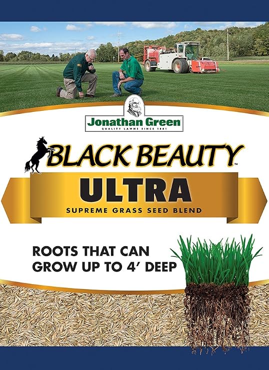 Jonathan Green 40322 Black Beauty Ultra Grass Seed, 7 lb