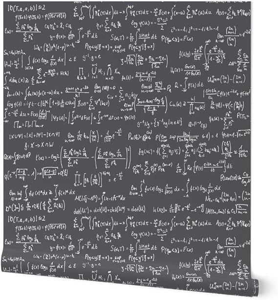 Spoonflower Math Notes Charcoal Pre-Pasted Removable Wallpaper | Sample 12" x 24" | Equations Science Technology Formulas | Water-activated, simple to install and removable