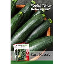 25 Adet Yerli Ata Siyah Kabak Tohumu (Kolsuz Kara Kabak)