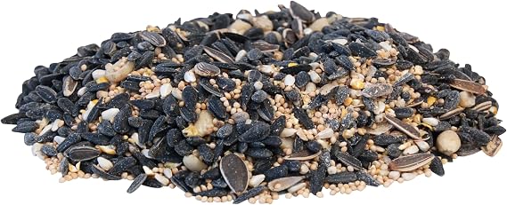 BestNest Wild Bird Seed Mix, Divine Blend, 5 lbs.