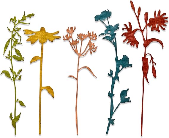 Sizzix Thinlits Die 665221 Wildflower Stems #3 by Tim Holtz 5 Pack