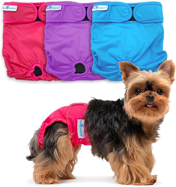 Paw Inspired Washable Dog Diapers, Assorted and Black Lining, XS, 3 Pack | Pink, Blue, Purple Colors, Reusable Cloth Doggie Pampers for Female Dogs for Potty Training, Heat, Incontinence, Travel