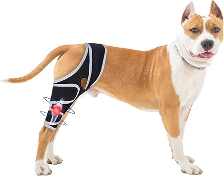 Dog Knee Brace for Torn Acl Hind Leg - Relieves Ligament Injury and Joint Pain, Adjustable Leg Support Bracket for Warmth and Support, Universal Dog Knee Brace for Four Legs, XL.