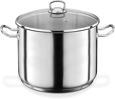 GSW Stahlwaren GmbH Jumbo Cooking Pot, SilverClear, 28 x 19 cm, 12 Litre