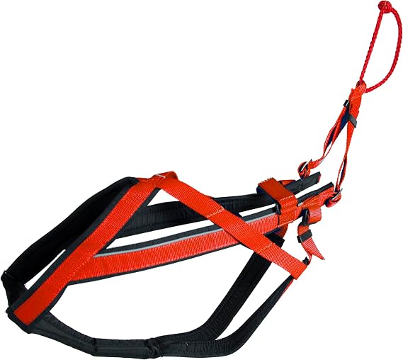 Adjustable Racing Harness (Large, Red) - Ideal for Dog Pull with Bike, Skateboard, Rollerblade, Cart, Canicross