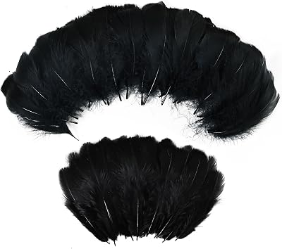 MAOFENG 480pcs Natural Feathers Bluk 3-5 inch Feathers Crafts Bluk for DIY Halloween Wedding Home Party Decorations,Black