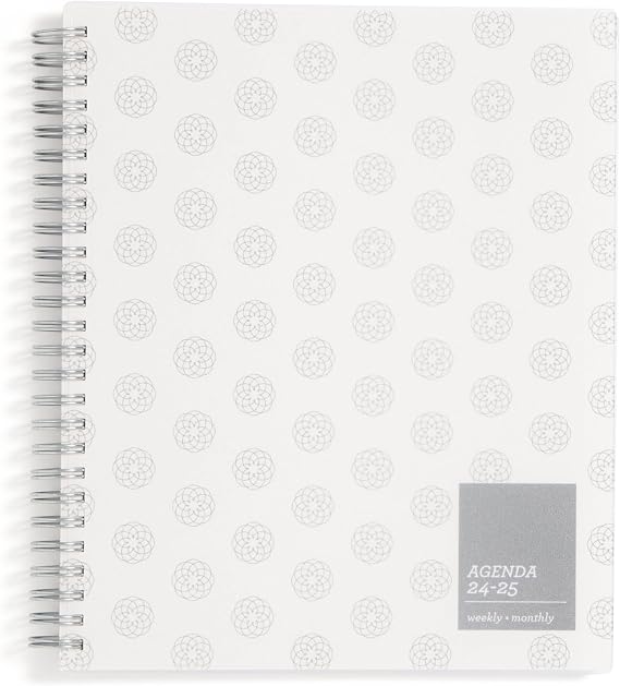 Blue Sky 2024-2025 Academic Year Weekly and Monthly Planner, 7" x 9", Flexible Cover, Wirebound, Regency Frosted (150676)