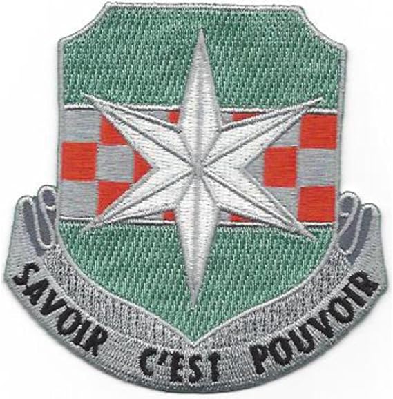313Th Military Intelligence Battalion Collectible Novelty Patch