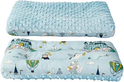 Reidio 1Pcs Toddler Pillow Double Sided Breathable Soft Cotton & Minky Dot Fabric Kids Pillow Cute Small Pillow Machine Washable Blue