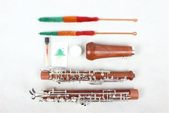 Oboe Nice Sound C Key Rosewood Body 3rd Octave Left F Resonance Profession Oboes Beginner