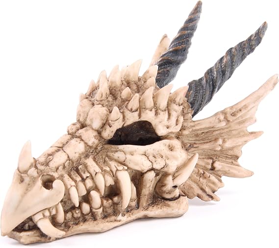 Puckator DRG186 Dragon Skull Money Box 19 x 11 x 11 cm, Mixed, Height 11cm Width 11cm Length 19cm Slot 3.5cm