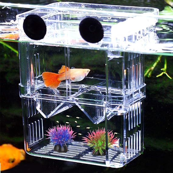 Aquarium Fish Breeding Box, Acrylic Double Layer Fishes Isolation Box/Baby Fishs Hatchery/Fry Breeder Box for Guppy,Tropical Fishes, Floating Fish Incubator Tank Divider with Suction Cups, L size