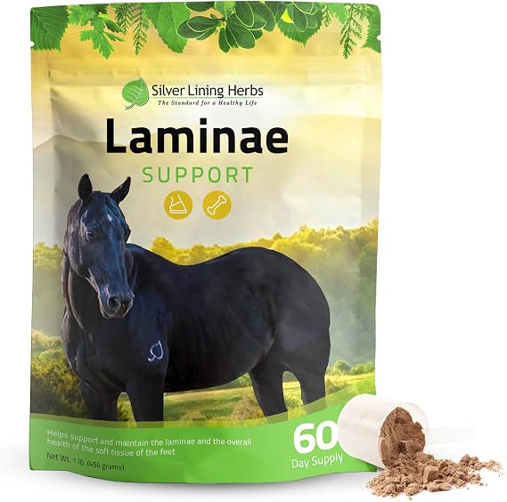 Silver Lining Herbs Laminae Hoof Supplements for Horses - 1 lb