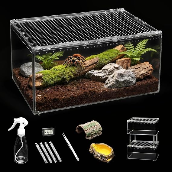 Small Reptile Tank PC Starter Kit,Escape Proof Tarantula Enclosure