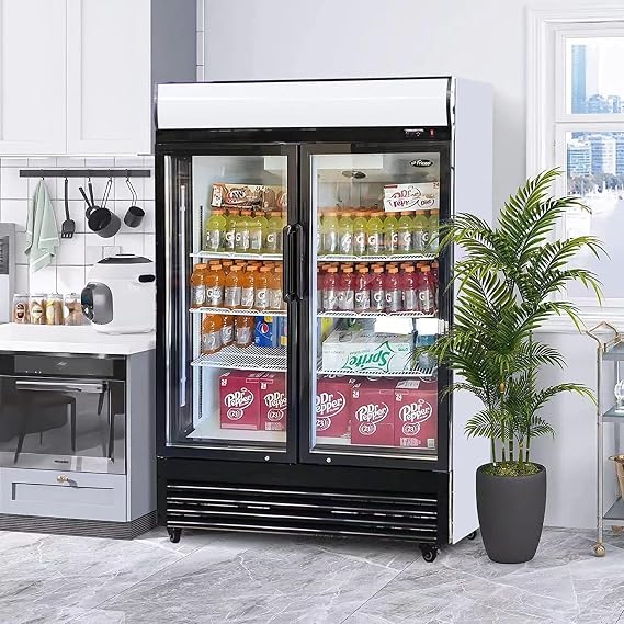 51" Commercial Glass 2 Door Display Refrigerator Merchandiser - Upright Beverage Cooler With Led Lighting