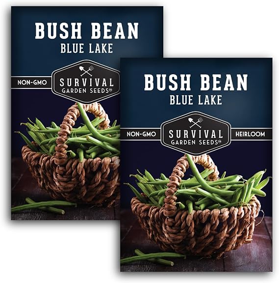Blue Lake 274 Bush Bean Seeds for Planting - Survival Garden Seeds (2 Pack) | Heirloom Non-GMO Green Beans - High Germination, Stringless 56" Pods on Compact Plants