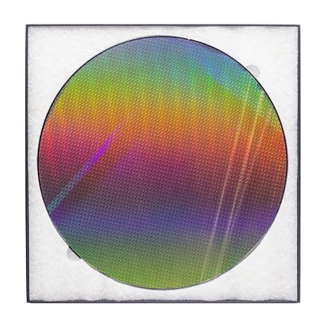 Integrated Circuit Real Chip, Uncut Ic Si Wafer Silicon, 12 in
