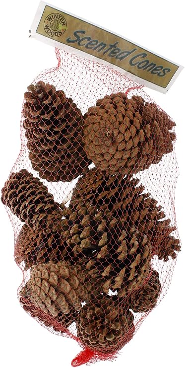 Winter Woods Cinnamon Scented Pinecones 12-14/Pkg, Large