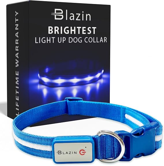 Blazin Light Up Dog Collar - The Original LED Dog Collar - USB Rechargeable - Waterproof - 1,000 Feet of Visibility - Dog Collar Light for Small, Medium, Large Dogs - USA Brand
