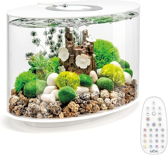 biOrb Loop 15 Acrylic 4-Gallon Aquarium with Multi-Color Remote-Controlled LED Lights Modern Compact Tank for Tabletop or Desktop Display, White-Trimmed Tank