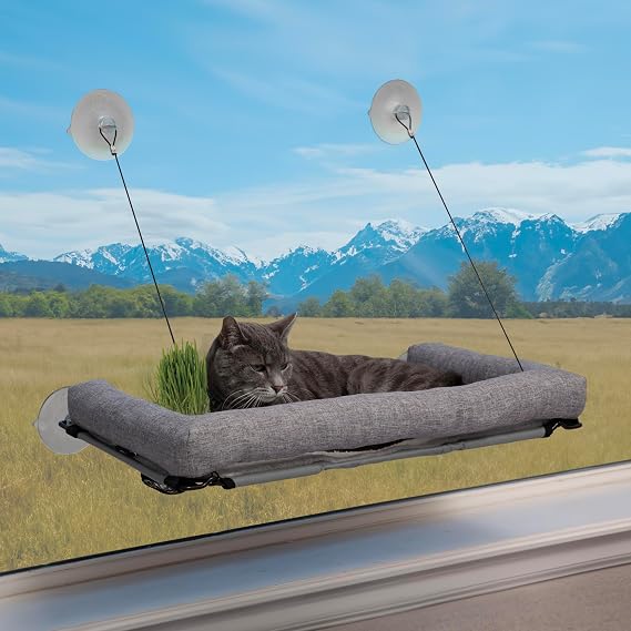 K&H Cat Window Perch, EZ Mount Deluxe Bolstered Sill with Cat Grass Kit