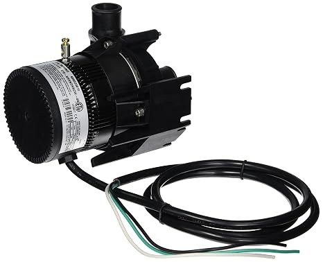 Laing E10-NSTN1W-19 Spa Circulation Pump
