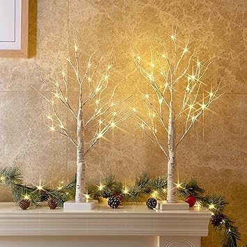 PEIDUO Home Decor, 2FT Birch Tree with LED Lights, Warm White Light up Tree Lamp, Artificial Trees for Home Table Inside, Battery Powered, Timer (2PK)