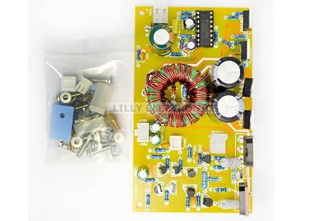 Discrete Components Power Amplifier Board DC 12V Mono Channel Design