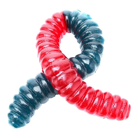 The Original World's Largest Gummy Worm - 5 Combination Options!