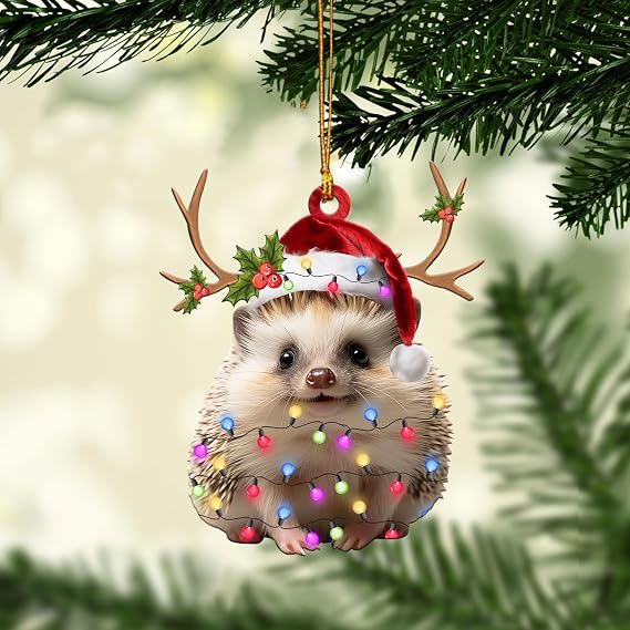 Talataca Hedgehog 2D Flat Christmas Ornament, Erizo De Tierra Christmas Hat Reindeer with String Lights Pine Tree Decor, Hanging House Charm Eve