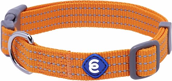 Blueberry Pet Essentials Matching Large Dog Collar | Adjustable Classic Solid Color Nylon Dog Collars for Large Dogs | Reflective Apricot Dog Collar for Large Dogs